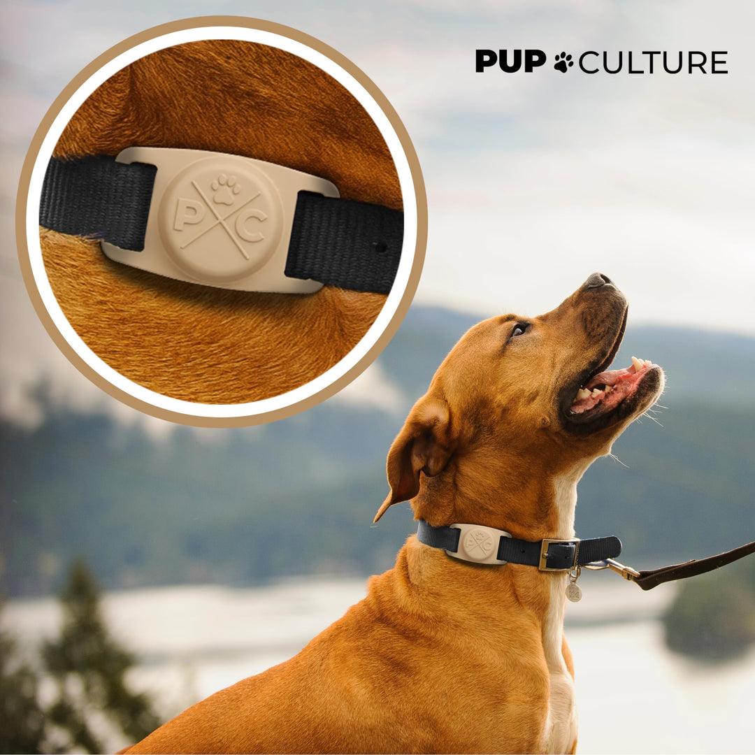 AirTag Dog Collar | Durable & Protective Dog AirTag Holder - Track Your Pet Using Apple AirTag Technology - Dog Collar AirTag Holder -for Dogs and Cats