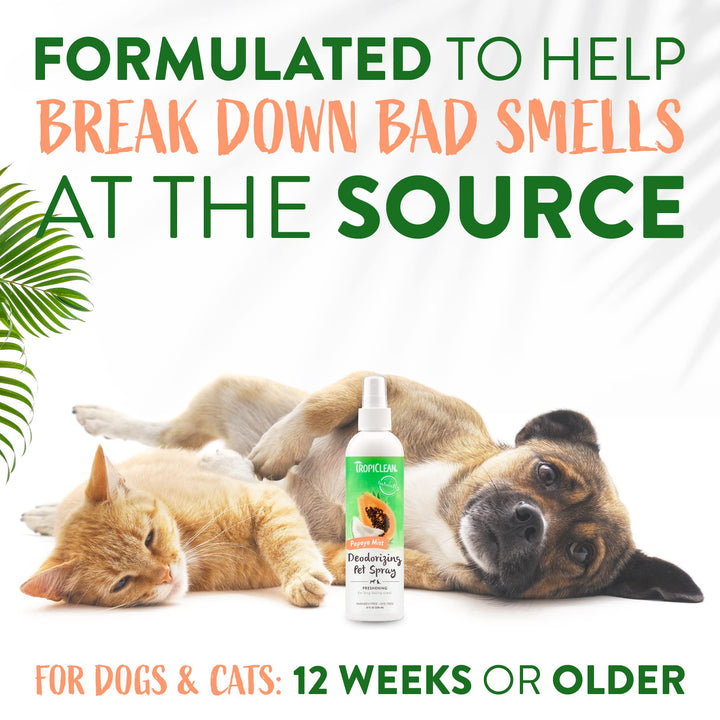 Dog Perfume, Long Lasting Papaya Cologne, Deodorizing Spray for Smelly Dogs, After Bath Detangling Spray with Vitamin E, Safe for Cats, 8oz.