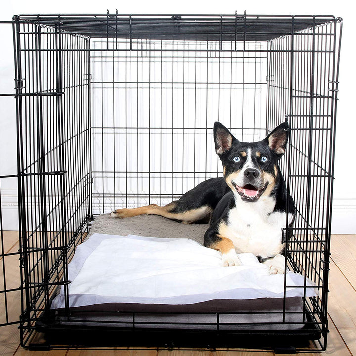 Home Protection Odor Eliminating Scented Dog Pads, Super Absorbent & Won’t Leak, Lavender Scent, Regular Size, 14 Count