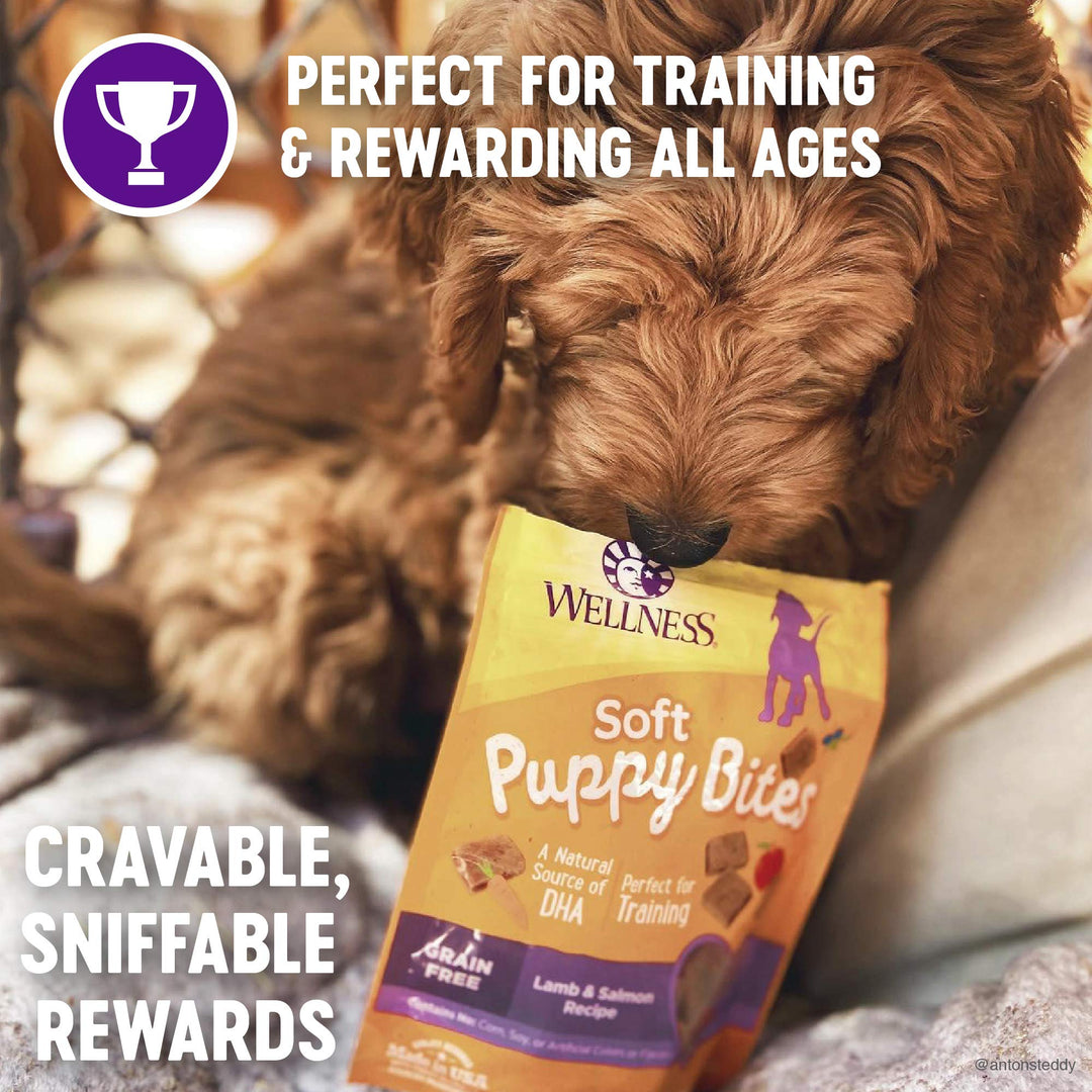 Puppy Treats, Natural, Training Treat, Grain Free, Soft Lamb & Salmon (3 Ounce bag)