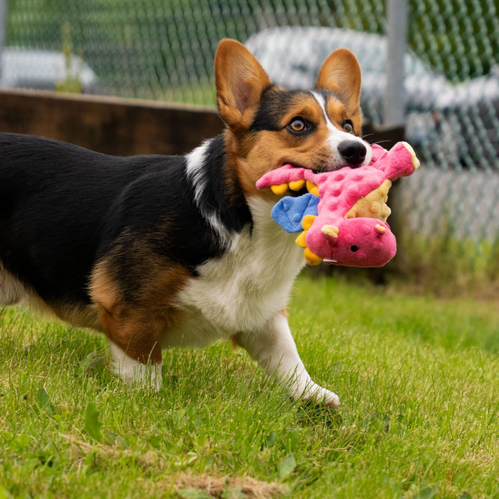 Bubble Plush Dragons Squeaky Dog Toy, Chew Guard Technology - Coral, Small