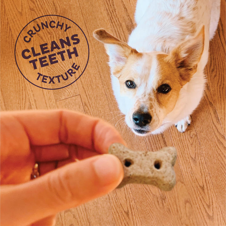 Wellness Original Mix Dog Biscuits, Natural, Training Treats, Four Flavors, Mini Size, (20 Ounce Bag)