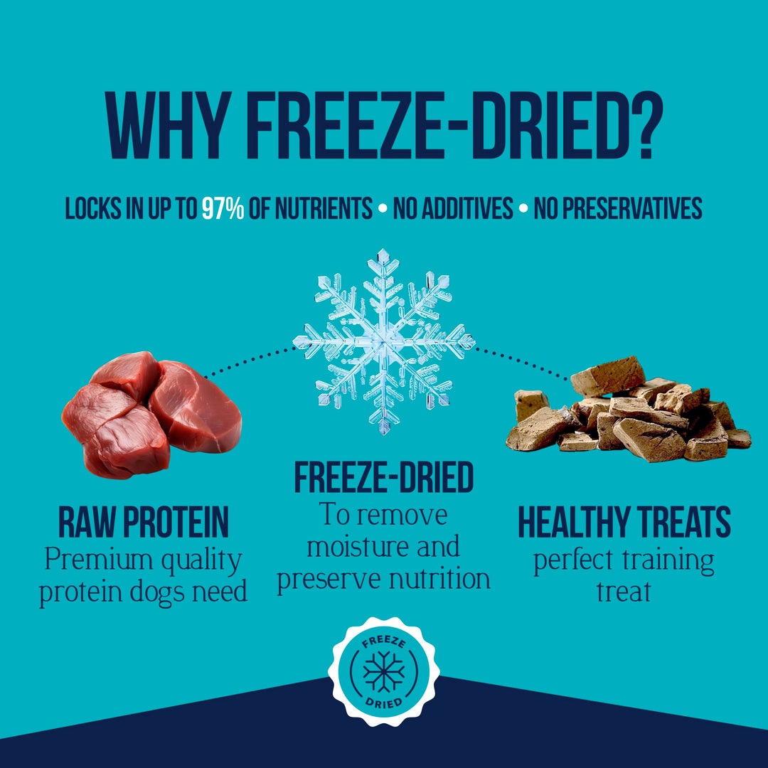 Single Ingredient Freeze Dried Raw Dog Treats, Beef Liver, 21 Ounce Value Size Resealable Tub, Training Treats or Meal Topper for All Size Dogs, High Protein, Grain-Free, Gluten-Free