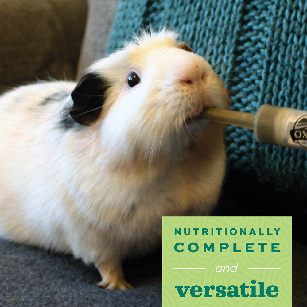 Critical Care Herbivore, Emergency Rabbit & Guinea Pig Food, Natural Apple Banana Flavor, Veterinary Formula, Critical Care Herbivore, Assist Feeding Formula for Pets, 454 gram bag