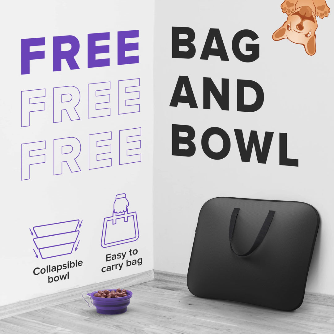 Ruff 'N Ruffus Portable Foldable Pet Playpen + Free Carrying Case + Free Travel Bowl | Available in 3 Sizes (Medium (29x29x17))