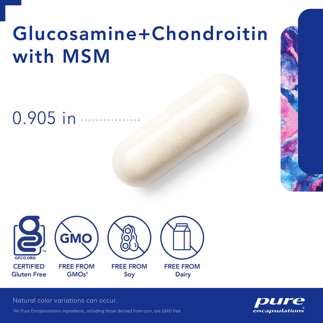 Glucosamine Chondroitin with MSM - Supports Joint Health & Normal Cartilage Formation* - Maintains Enzyme Activity - Gluten-Free & Non-GMO - 60 Capsules