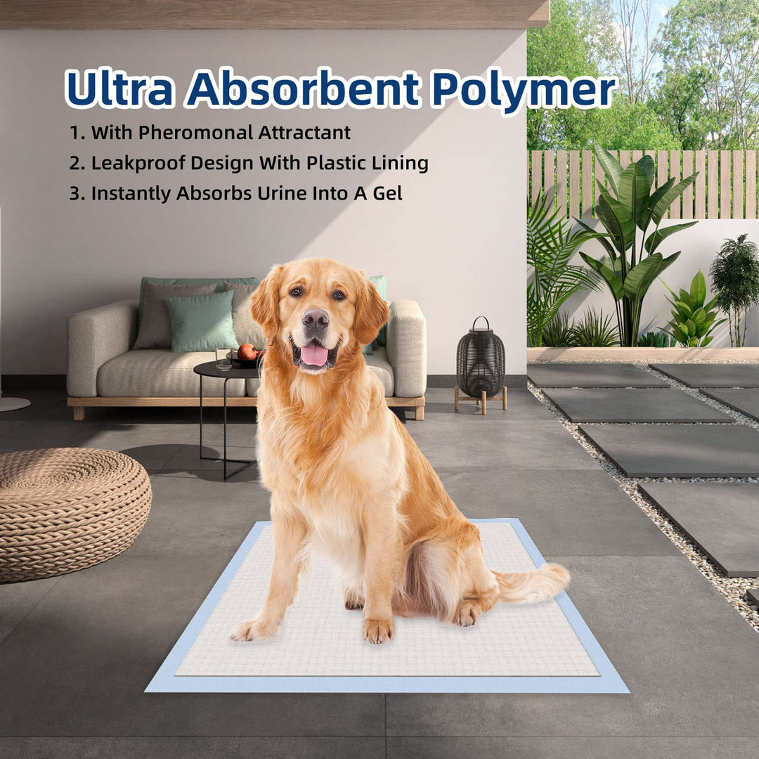 All-Absorb, XXL 30x36, 30 Count, Dog and Puppy Training Pads, Ultra Absorbent and Odor Eliminating, Leak-Proof 5-Layer Potty Training Pads with Quick-Dry Surface, Blue, A39