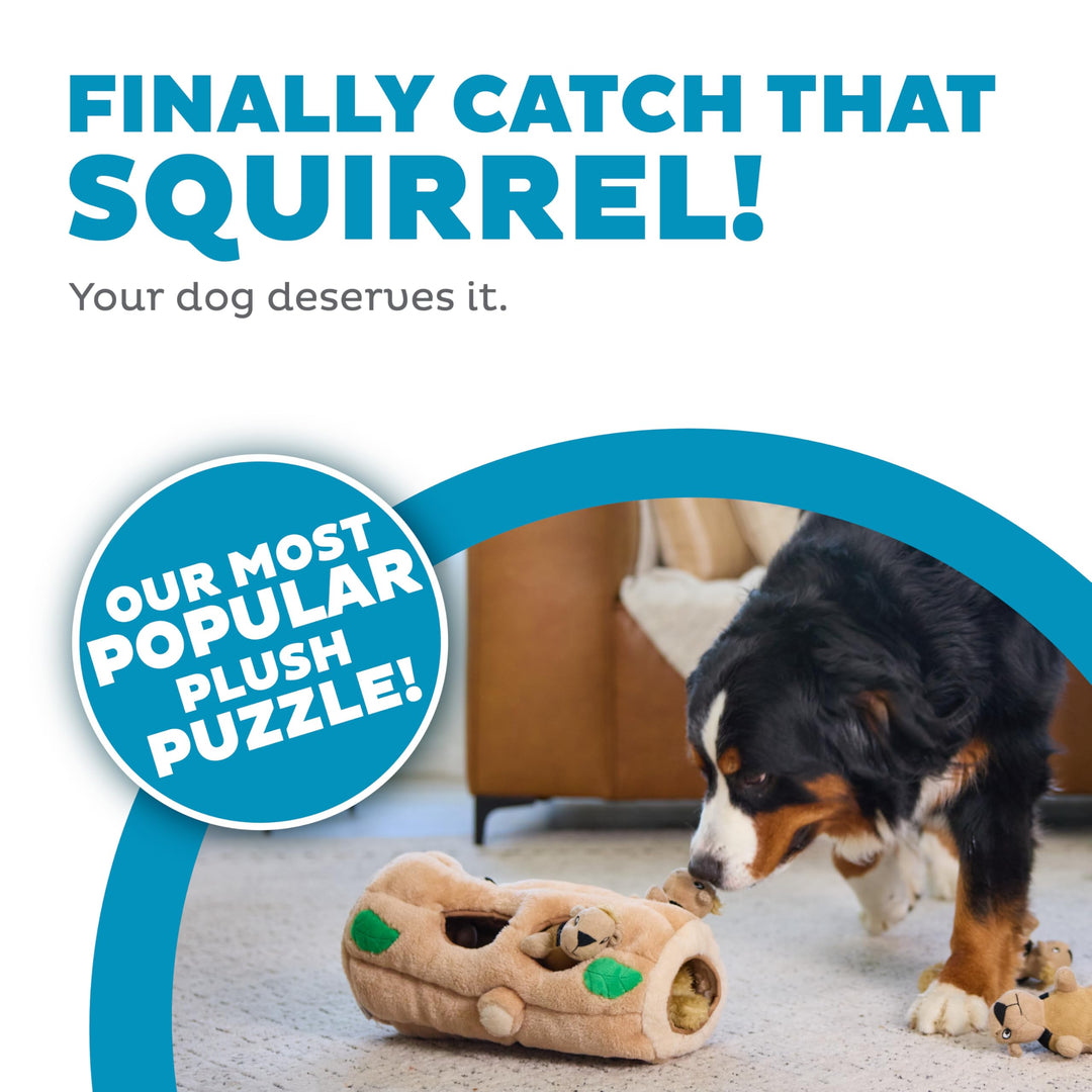 Hide A Squirrel Plush Dog Toy Puzzle, XL