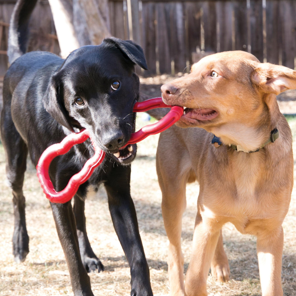 Tug Toy - Dog Supplies for Tug of War - Natural Rubber Dog Toy for Outdoor & Indoor Playtime - for Medium/Large Dogs