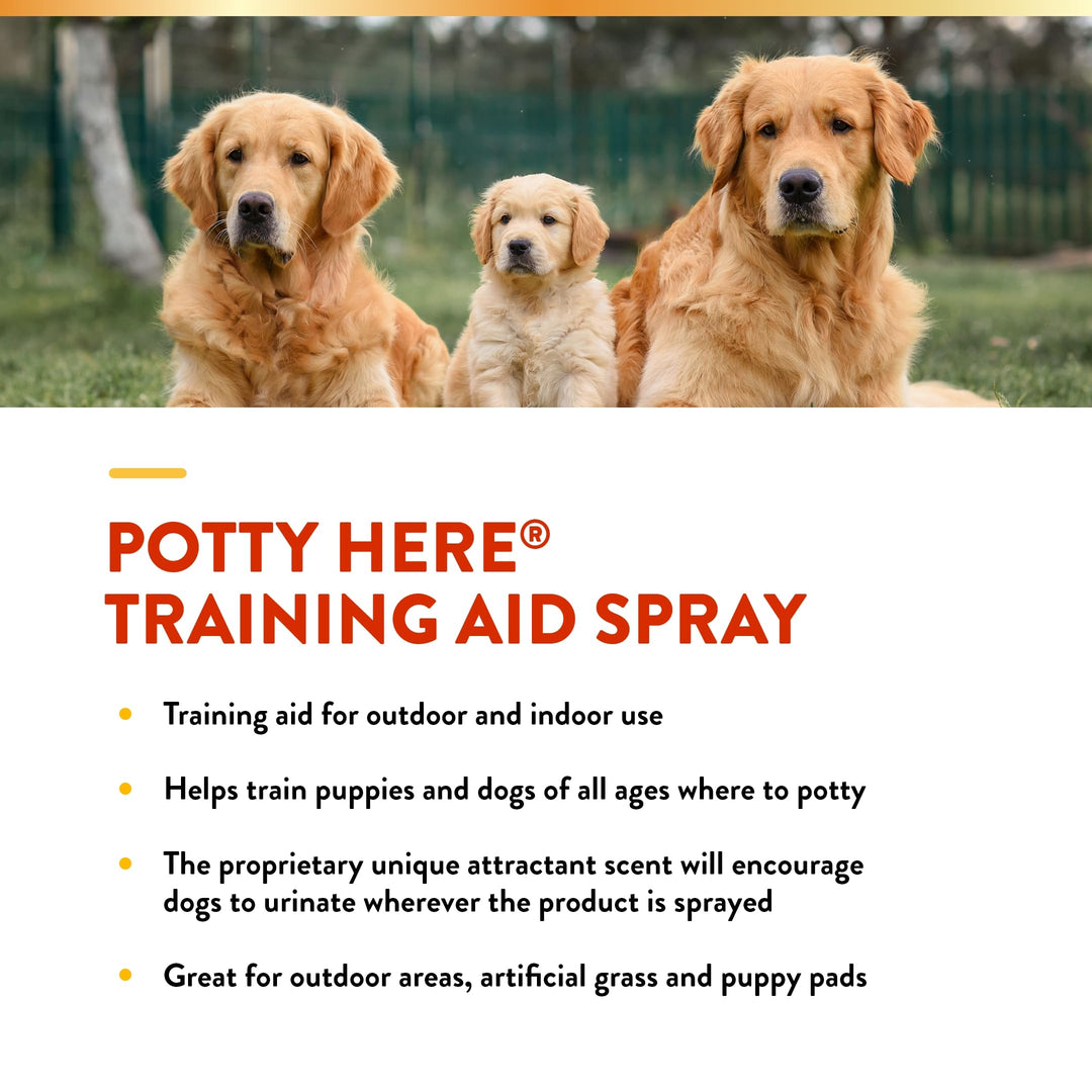 – Potty Here Training Aid Spray | Attractive Scent Helps Train Puppies & Dogs Where to Potty | Formulated for Indoor & Outdoor Use | 8 oz