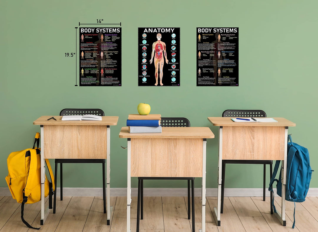 Human Anatomy and Body Systems Posters Laminated 14x19.5 – Science Educational Charts, Classroom Posters and Decorations, Back to School Supplies, Learning Posters for Biology Class, STEM and STEAM