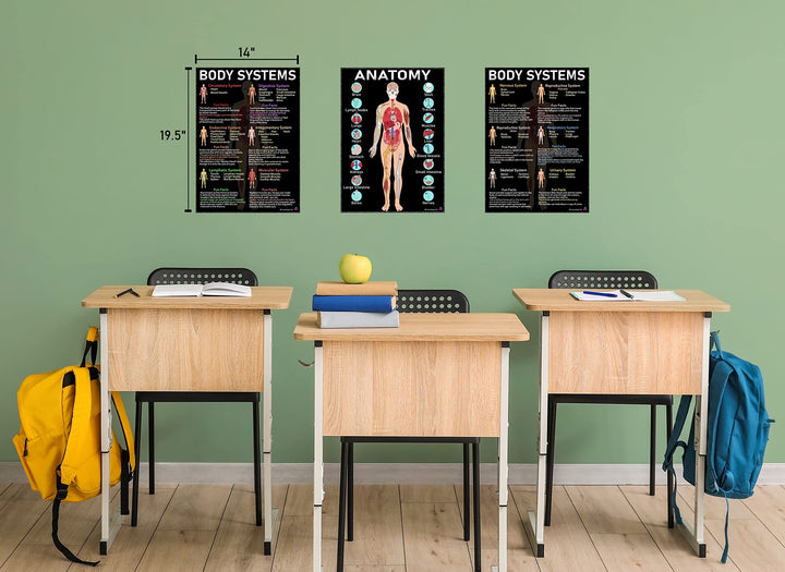Human Anatomy and Body Systems Posters Laminated 14x19.5 – Science Educational Charts, Classroom Posters and Decorations, Back to School Supplies, Learning Posters for Biology Class, STEM and STEAM