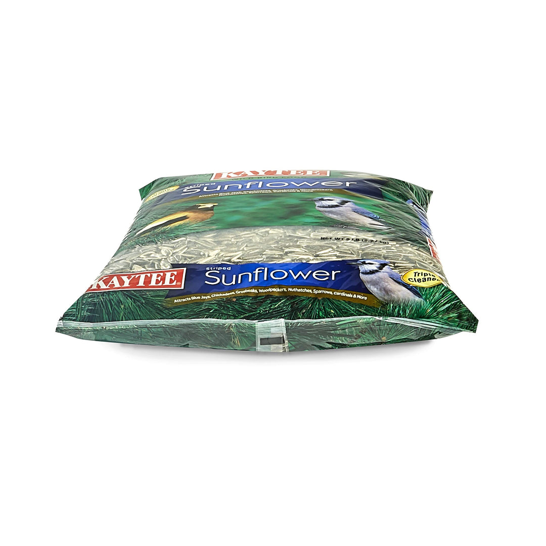 Striped Sunflower Wild Bird Food 5 Pounds