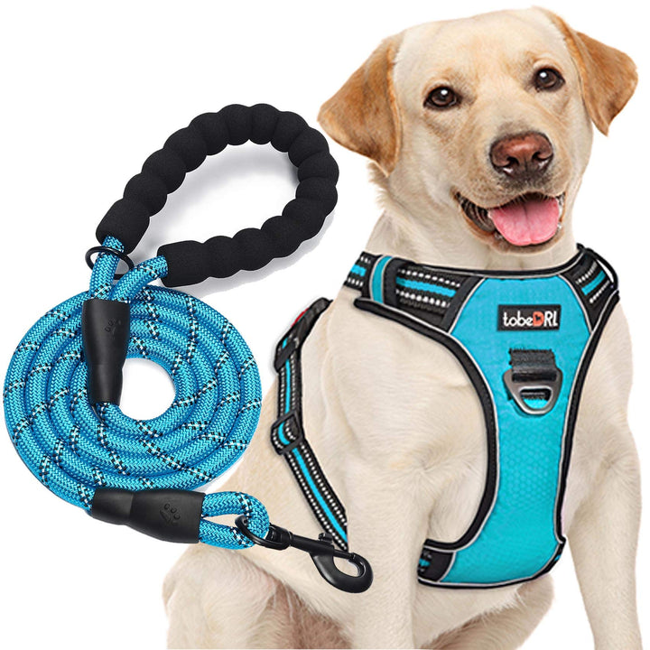 No Pull Dog Harness Adjustable Reflective Oxford Easy Control Medium Large Dog Harness with A Free Heavy Duty 5ft Dog Leash (L (Neck: 18-25.5, Chest: 24.5-33), Blue Harness+Leash)
