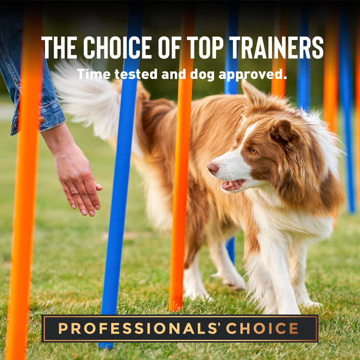 Tricky Trainers Soft & Chewy Dog Training Treats 14 oz. Pouch, Salmon Flavor, Low Calorie Behavior Aid with 360 Treats