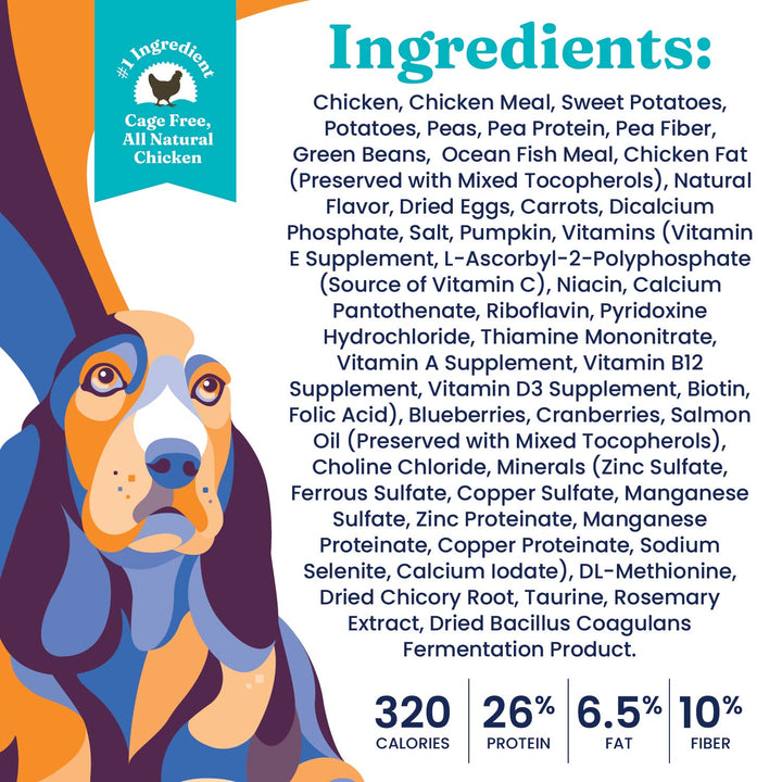 Dry Dog Food for Adult & Senior Dogs - Made with Real Chicken, Probioitcs, & Omega 3 Fish - Whole Grain Dry Dog Food for Weight Management & Better Digestion - 24 LB
