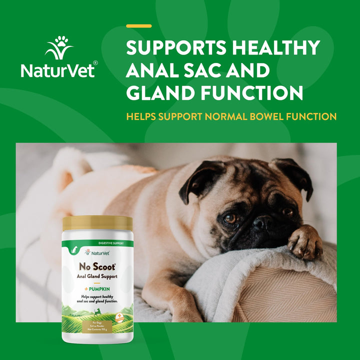 - No Scoot for Dogs - Plus Pumpkin - Supports Healthy Anal Gland & Bowel Function - Enhanced with Beet Pulp & Psyllium Husk (5.4oz Powder)