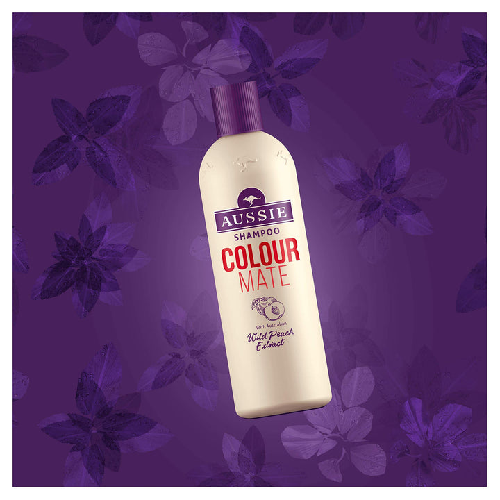 Colour Mate Shampoo (300ml)