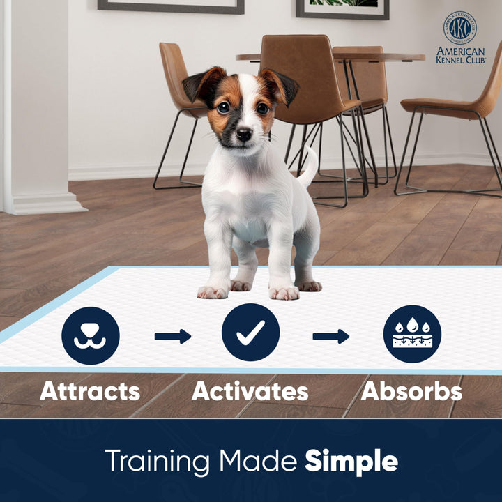 American Kennel Club Scented Puppy Training Pads with Ultra Absorbent Quick Dry Gel – 22 x 22 Puppy Pads - Fresh Scented - Pack of 50