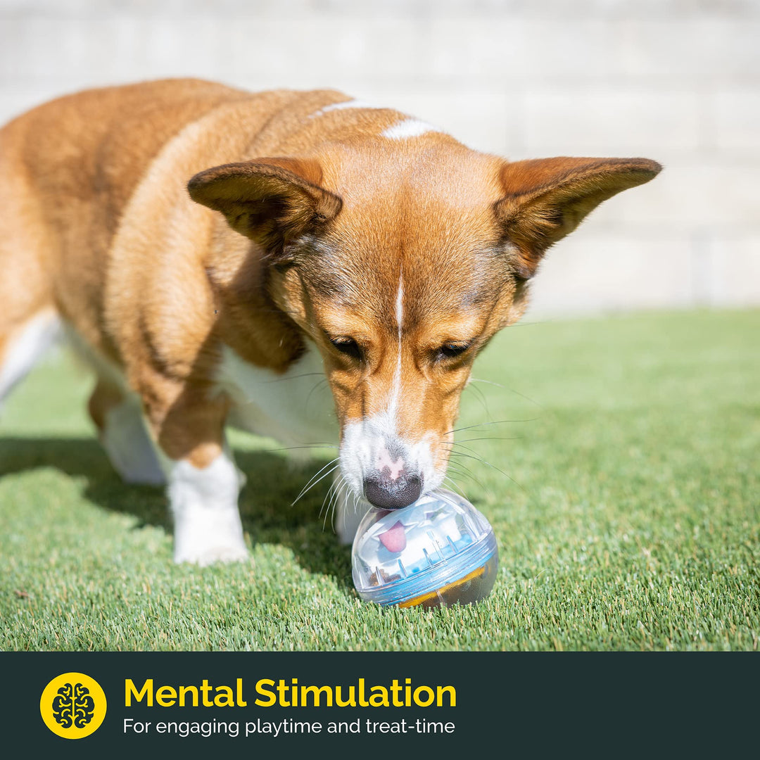 IQ Treat Ball Interactive Dog Ball - 3 Puzzle Treat Dispenser, Durable, Slow Feeder, for All Dog Breeds, Toys to Keep The Busy and Enrichment