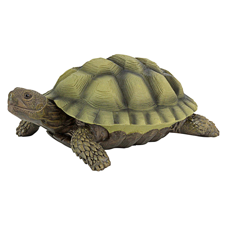QM1887611 Gilbert the Box Turtle Indoor/Outdoor Garden Decor Animal Statue, Set of One