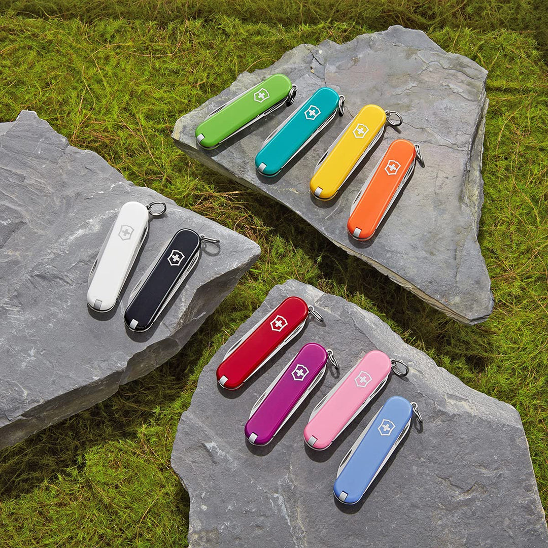 Tweezers, Small