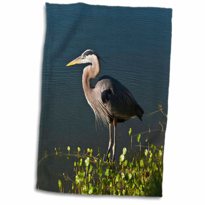 3D Rose Florida-Blue Heron Hunting at Shoreline Hand Towel, 15 x 22