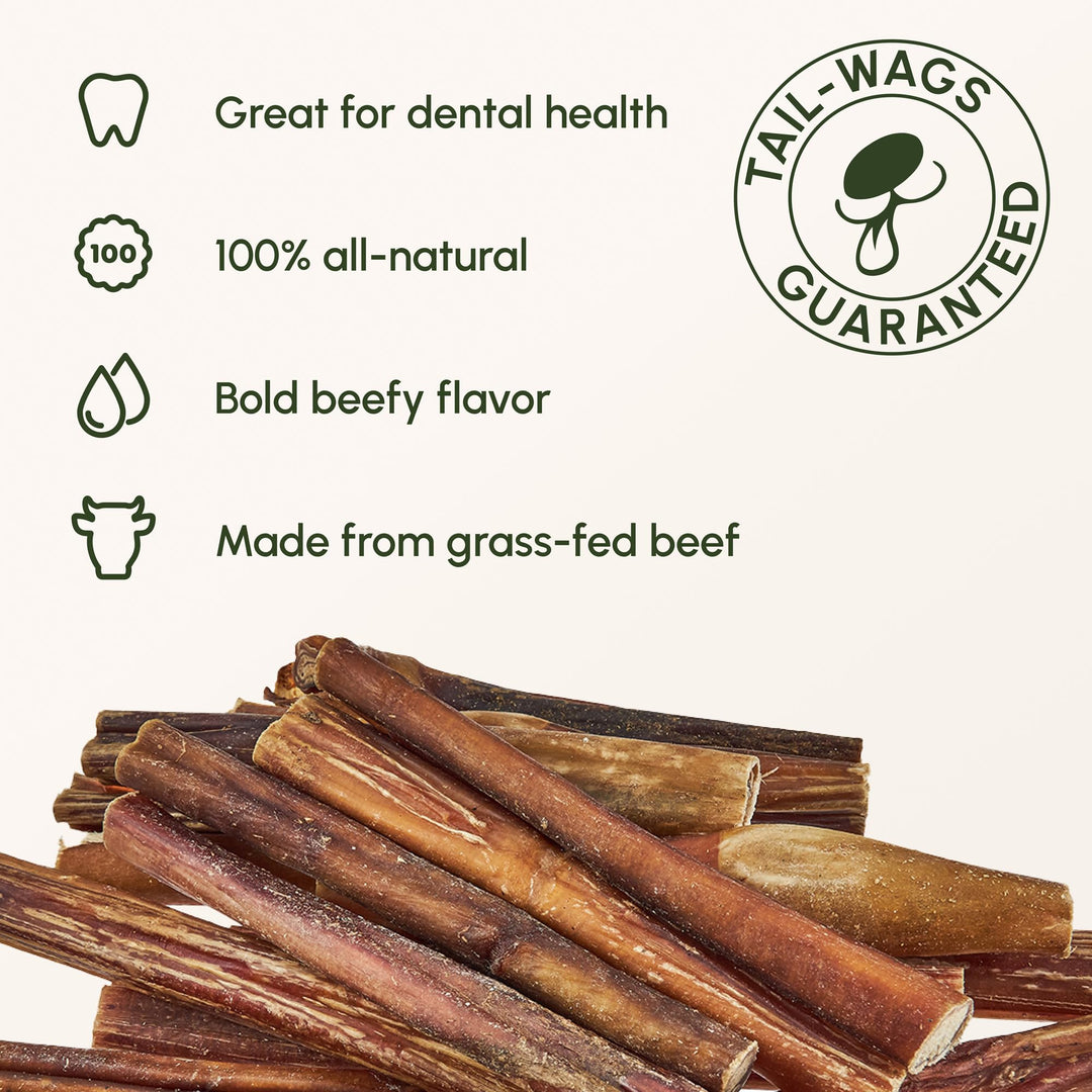 6-inch Bully Sticks for Dogs, Pack of 10 - Single Ingredient, Nutrient-Rich and Odor Free Bully Sticks for Dogs - Rawhide Free Dog Chews Long Lasting and Non-Splintering