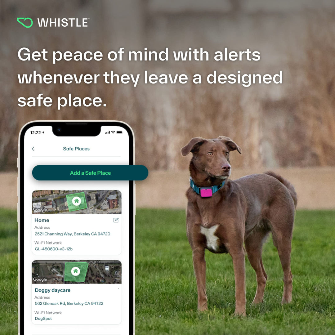 GPS + Health + Fitness - Ultimate Dog GPS Tracker Plus Dog Health & Fitness Monitor, Waterproof, Safe Place Escape Alerts, Built-in Night Light,Fits on Dog Collar, GO Explore, Magenta