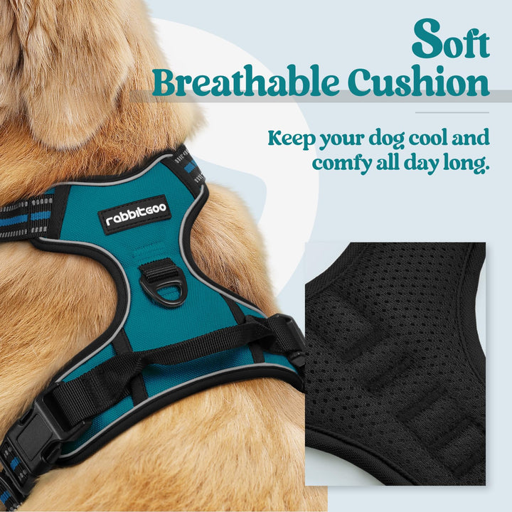 Dog Harness No Pull with 2 Leash Clips, Adjustable Soft Padded, Reflective Oxford No Choke Pet Vest with Easy Control Handle for Medium Sized Dogs, Blue Coral, M