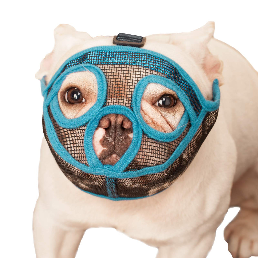 Short Snout Dog Muzzle Mesh Bulldog Muzzle Anti-Biting Barking Chewing, Adjustable (M, Lake Blue)