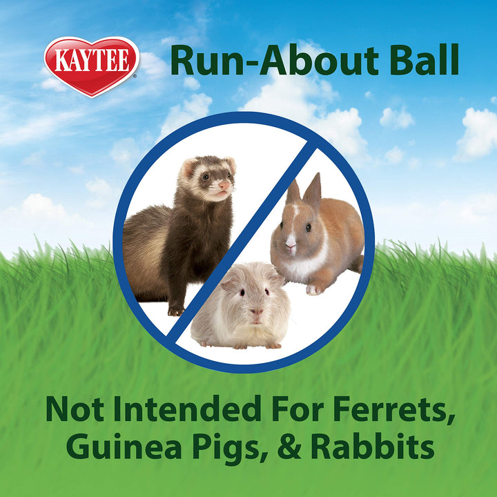 7 Clear Run-About Exercise Ball For Pet Hamsters & Gerbils