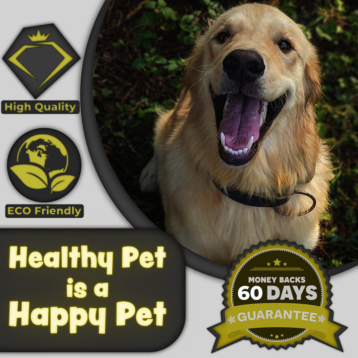 H&H Pets Dog Toothbrushes and Toothpaste Best Professional Cat & Dog Finger Tooth Brush, Dog Brush Set, Perfect for Dogs and Cats, Dog Supplies - Size Small 4 Count 3.5 Oz Toothpaste (100g)
