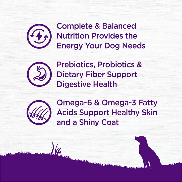 Complete Health Dry Dog Food, Wholesome Grains, Natural, Lamb & Barley Recipe, (30-Pound Bag)