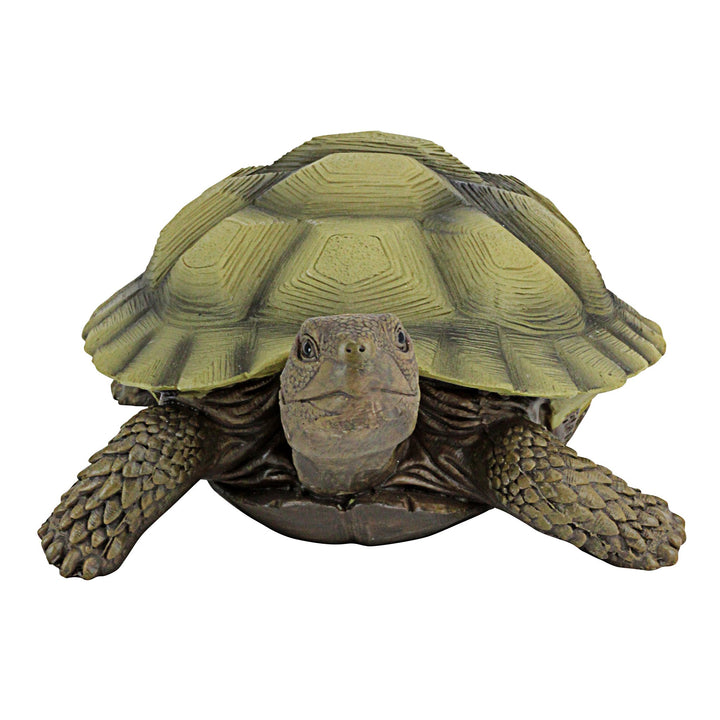 QM1887611 Gilbert the Box Turtle Indoor/Outdoor Garden Decor Animal Statue, Set of One