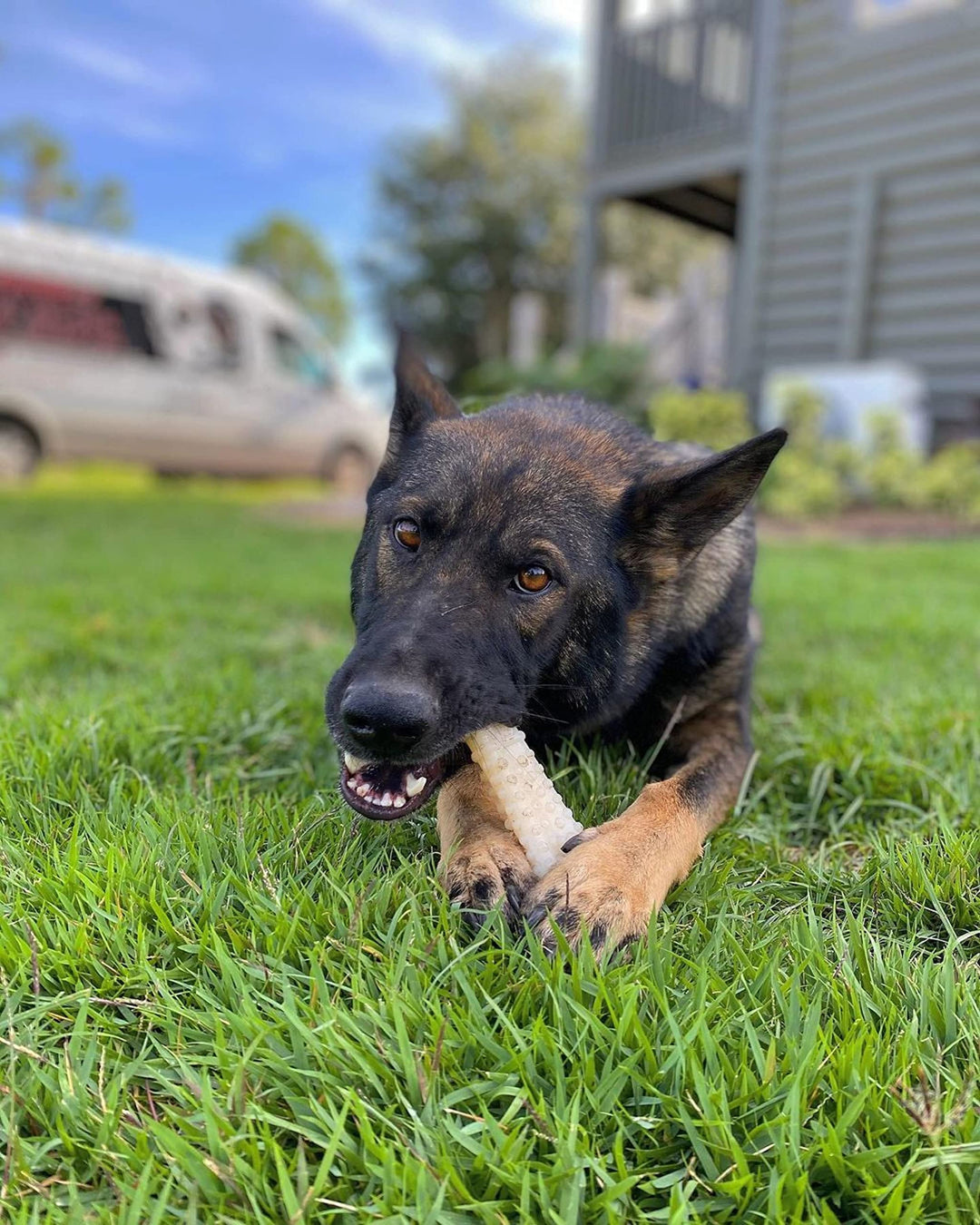 Textured Knuckle Bone Power Chew Toy for Dogs, Durable & Tough Dog Toys for Aggressive Chewers, Original Flavor, X-Large - Over 50 Ibs, 1 Count