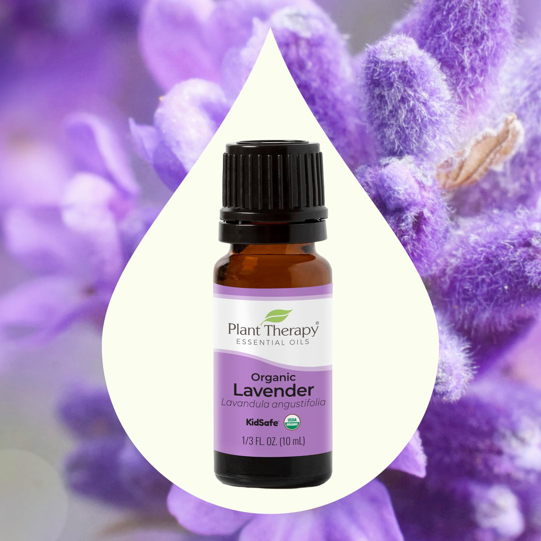 Organic Lavender Essential Oil 100% Pure, USDA Certified Organic, Undiluted, Natural Aromatherapy, Therapeutic Grade 10 mL (1/3 oz)