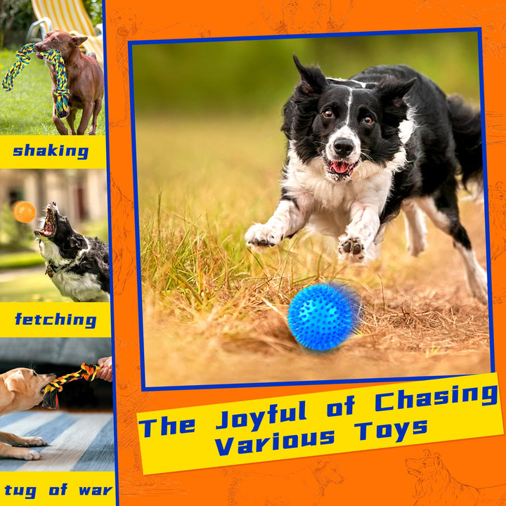 Luxury Tough Dogs Toys for 5-50lbs Dogs -14 Pack Valued Dog Toys for Small,Medium Breed & Large Breed with Interactive Rope Toys,Squeaky Chew Toys for Teething