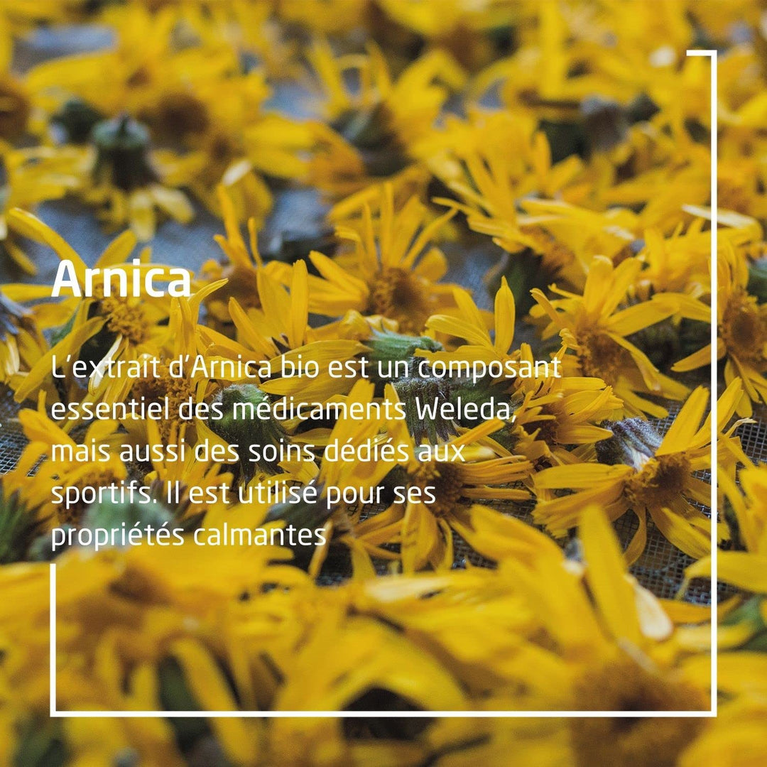 Massage oil with Arnica 200ml