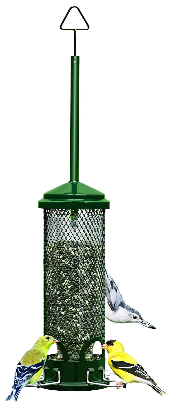 Mini Squirrel-proof Bird Feeder w/4 Metal Perches, 1.3lbs Seed Capacity, garden green
