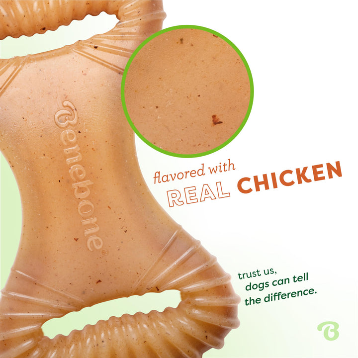 Dental Durable Dog Chew Toy for Aggressive Chewers, Real Chicken, Made in USA, Medium