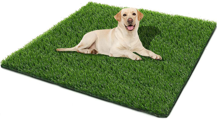 Dog Grass Pad,51.1x31.8In Fake Grass for Dogs,Artificial Grass Pee Pad for Puppies Potty Training Indoor Outdoor