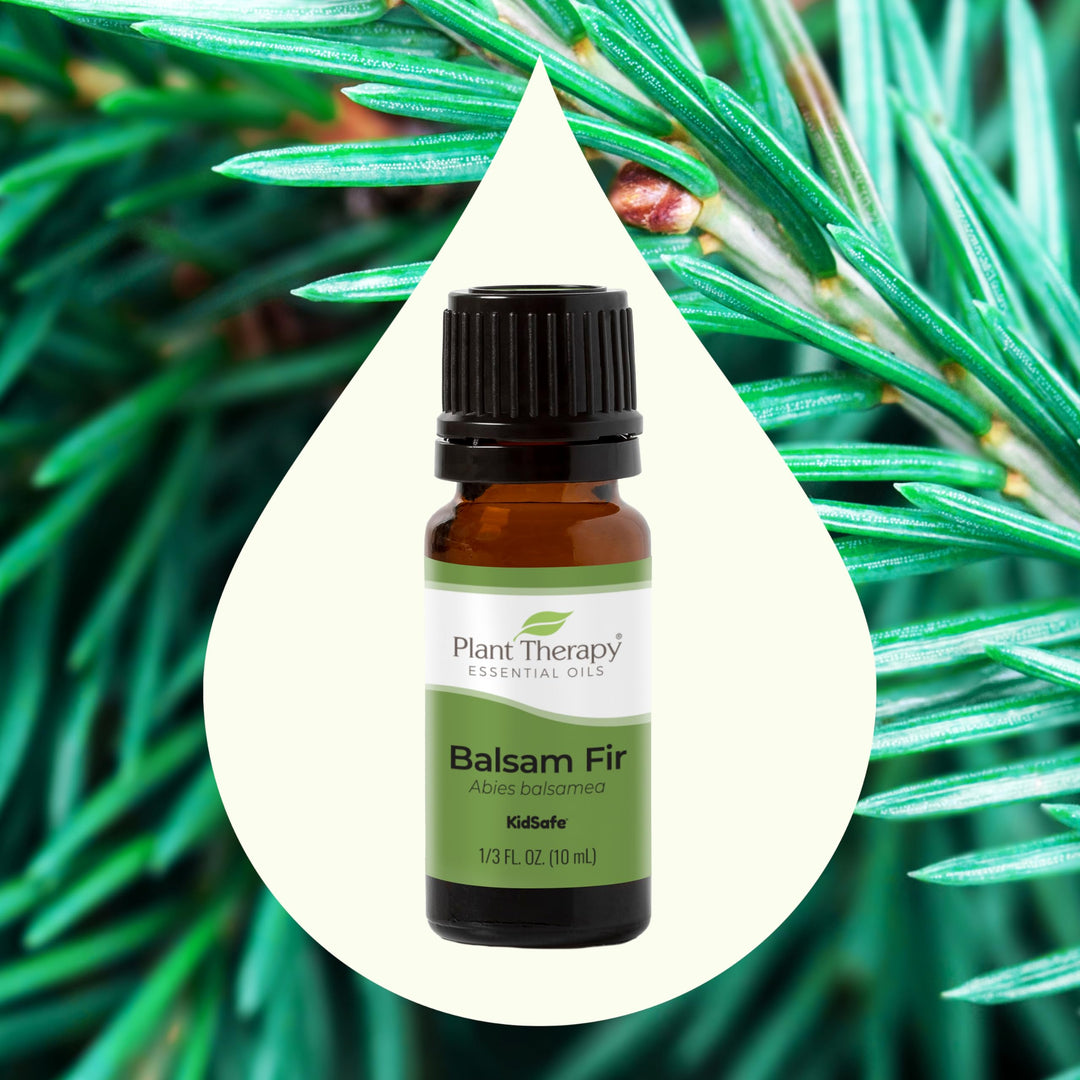 Balsam Fir Essential Oil 10 mL (1/3 oz) 100% Pure, Undiluted, Therapeutic Grade