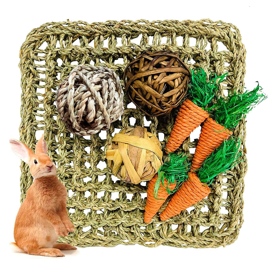Rabbit Seagrass Activity Mat Bunny Mat Rabbit Enrichment Toys Rabbit Chew Toys for Teeth Seagrass Protector Mat Small Animal Toys for Rabbit Bunny Chinchilla Guinea Pigs Rodent Pets