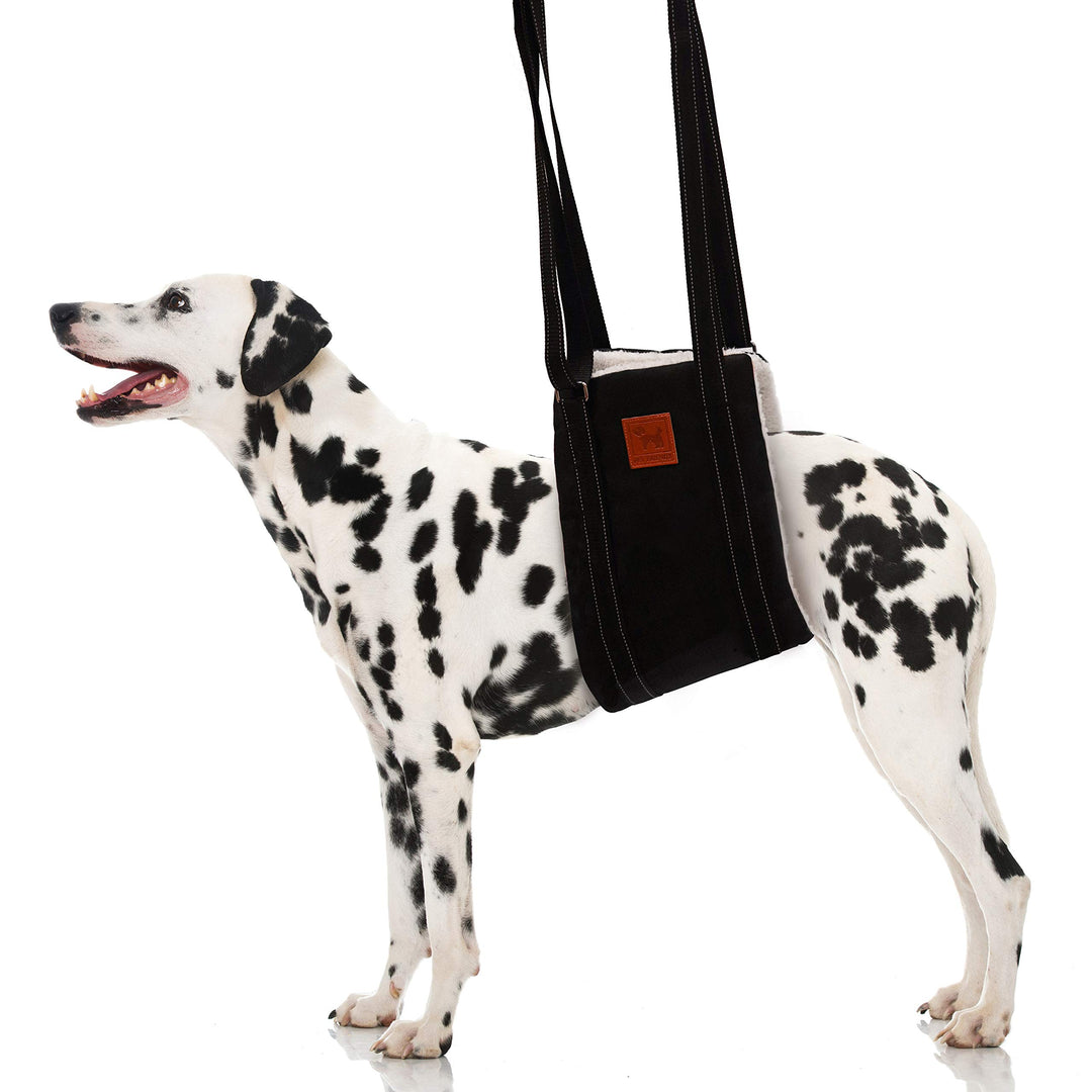 Pet Friendz Dog Lift Harness for Rear Legs - Dog Sling for Rear Legs, Rehabilitation Sling Harness, Dog Lift, Dog Support Harness to Help Lift Dogs Rear for Canine Aid - Large Breed