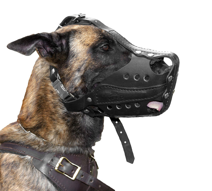 Bravo Leather Agitation Muzzle with Quick Release Buckle for Dogs,Black