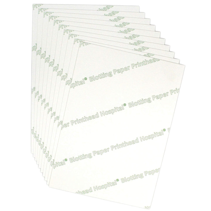 Heavyweight Blotting Paper for Flower Press, Calligraphy and Inkjet Printer Cleaning | 8x6 (10 Absorbent Paper Sheets) Blank Blotter Paper | Highly Absorbent Paper
