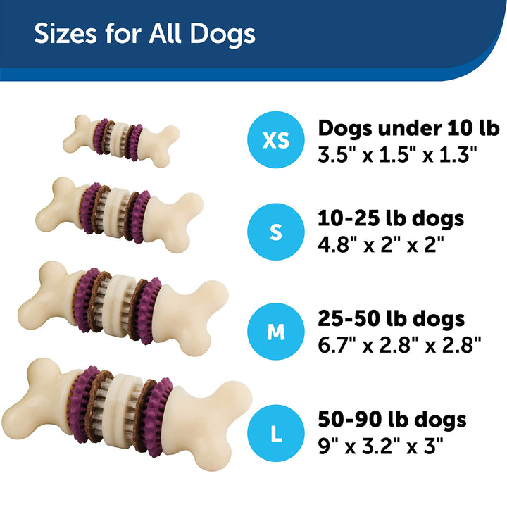 Busy Buddy Bristle Bone - Treat-Holding Toy for Dogs - Treat Rings Included - Treats Thoroughly Mixed During Bake to Prevent Choking - Rigorously Tested Ingredients - Purple, Small