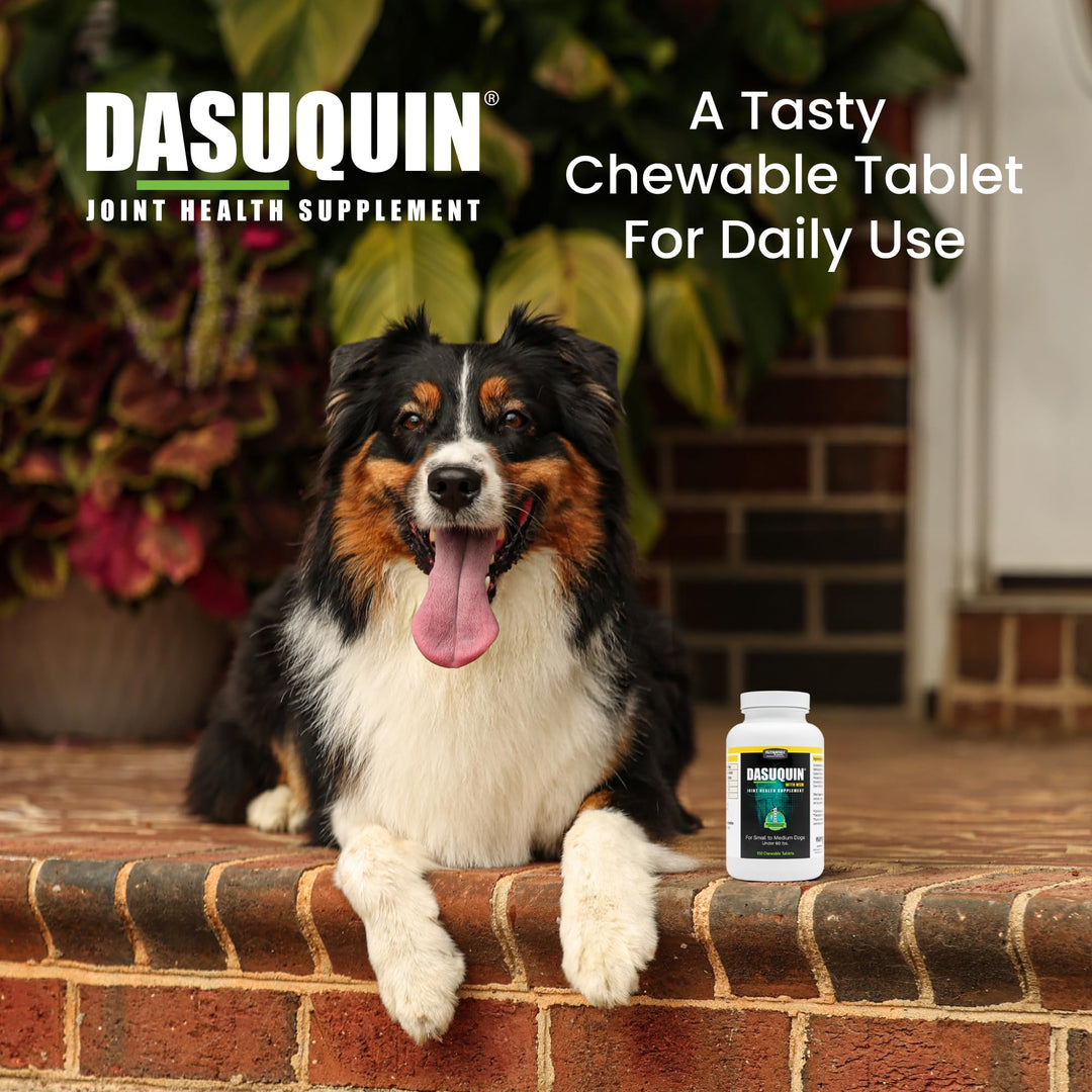 Nutramax Dasuquin with MSM Joint Health Supplement for Small to Medium Dogs - With Glucosamine, MSM, Chondroitin, ASU, Boswellia Serrata Extract, and Green Tea Extract, 150 Chewable Tablets