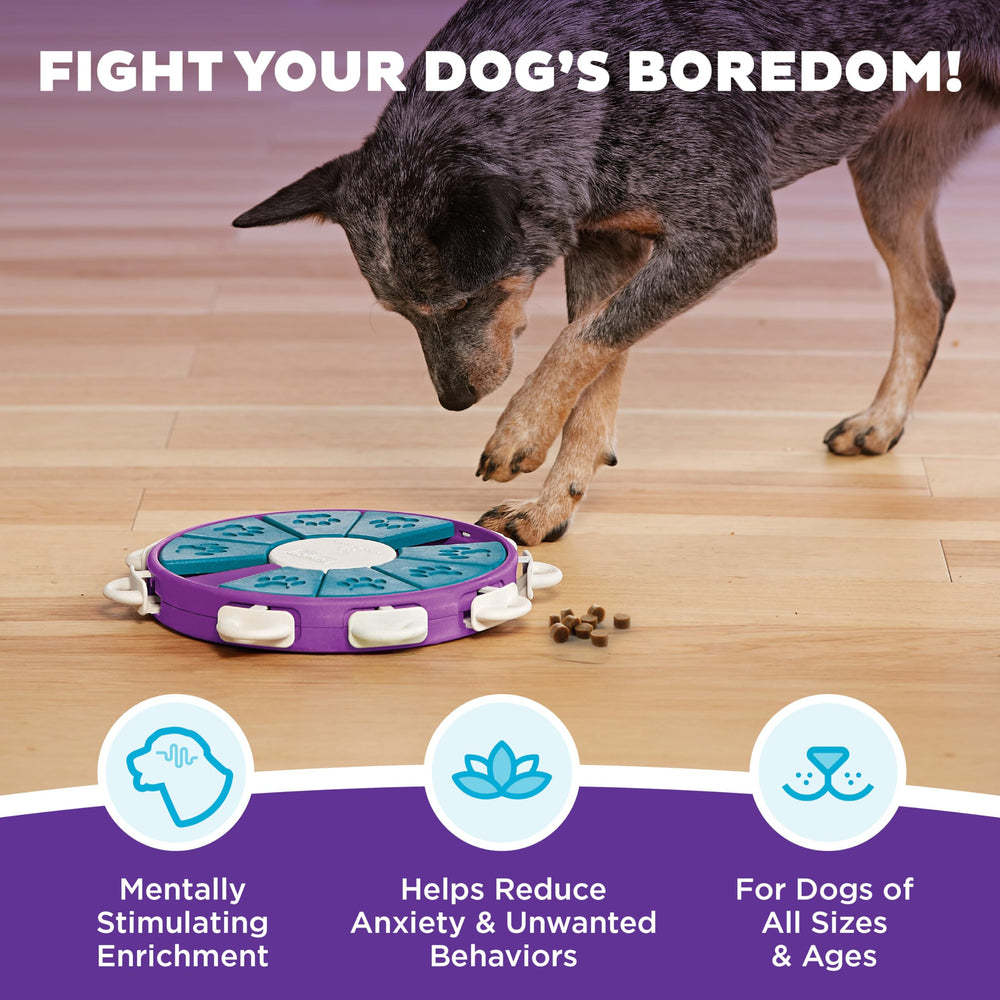 by Nina Ottosson Dog Twister Treat Puzzle Enrichment Toy, Level 3 Advanced, Purple